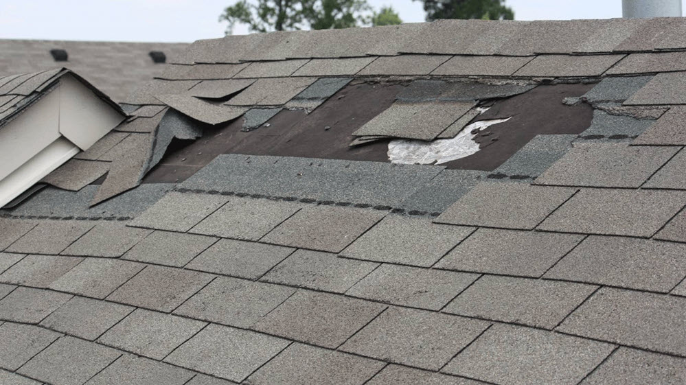 Roof Replacement Services Wixom